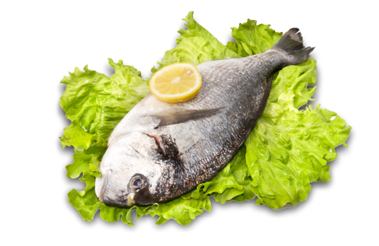 Centro Surgelati Maregel