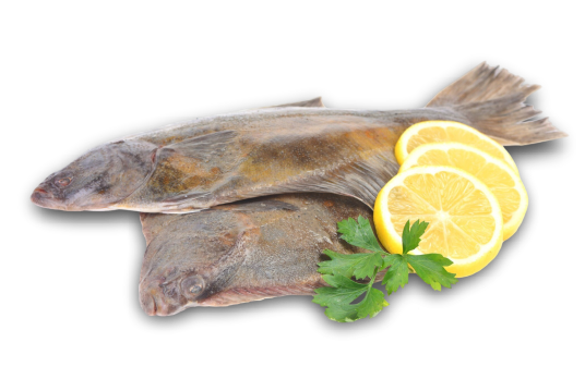 Centro Surgelati Maregel