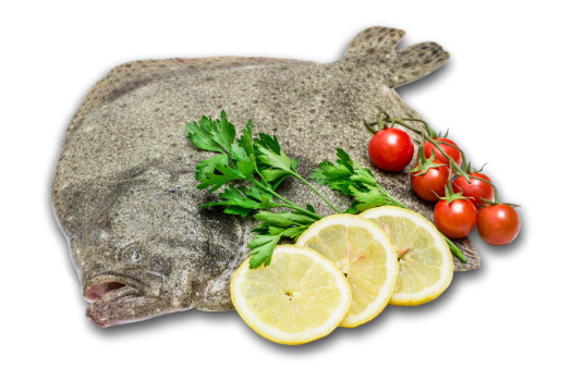 Centro Surgelati Maregel