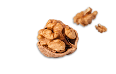 cereali