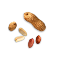 cereali