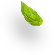 menta