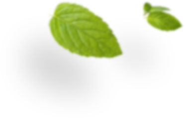 menta