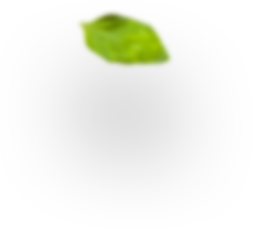 menta