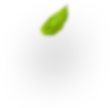 menta