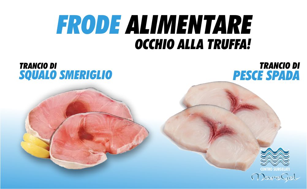 Quando lo squalo smeriglio diventa pesce spada