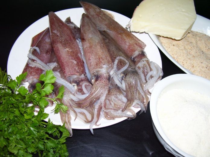 Calamaro in vendita presso Maregel centro surgelati Palermo