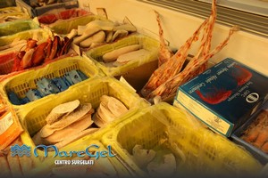 Maregel vendita alimenti surgelati a Palermo