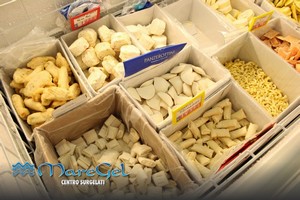 Maregel vendita alimenti surgelati a Palermo