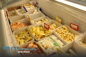 Maregel vendita alimenti surgelati a Palermo