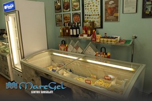 Maregel vendita alimenti surgelati a Palermo