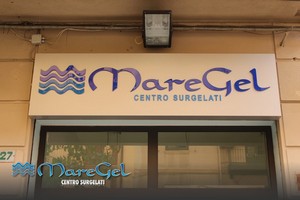 Maregel vendita alimenti surgelati a Palermo