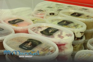 Maregel vendita alimenti surgelati a Palermo