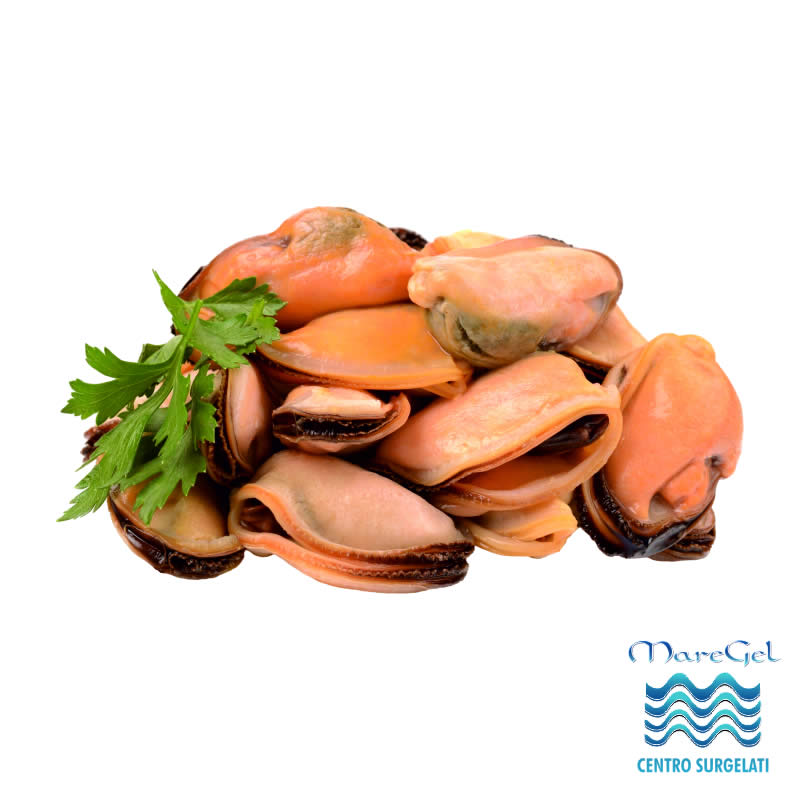 vendita Cozze sgusciate a Palermo
