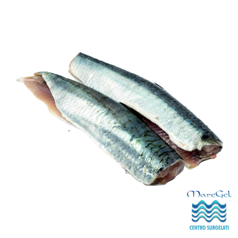 vendita Filetti di sarde a Palermo