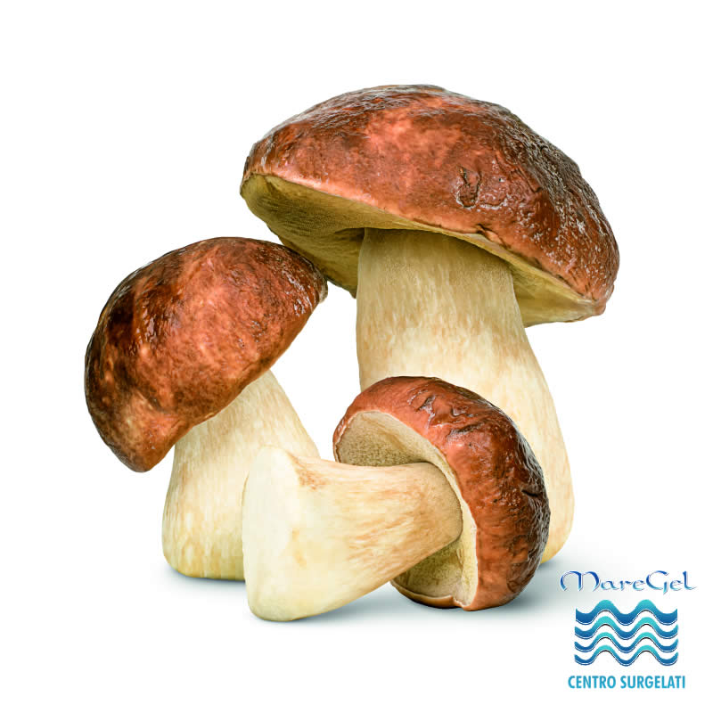 vendita Funghi porcini a Palermo
