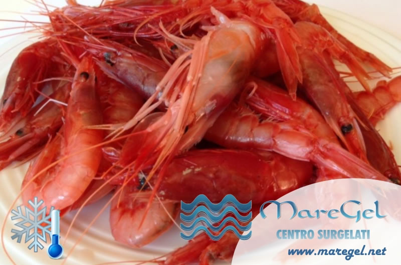 Sua Maest, il Gambero Rosso