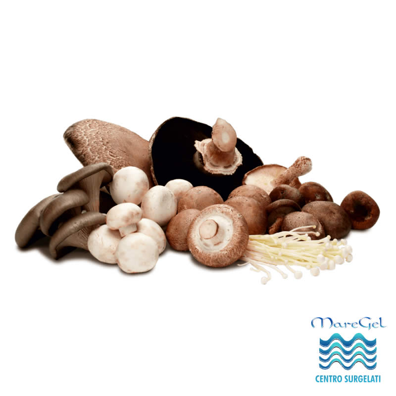 vendita Funghi misti a Palermo