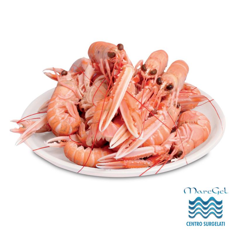 Scampi